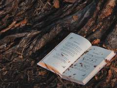 책 읽어주는 프란체스