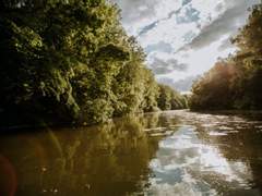 안여휘로 안이 잔존율을 가지고 린네하는 썰