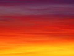 이별 후의 질문