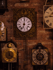 시계탑의 따오기