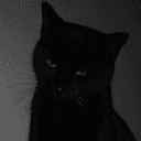 그래도 너가 내 세상이라는 게