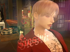 [BL]Siesta