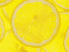 거듭하는 밤을 건너