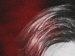 좀비의 결함 22-24