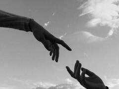 You are dreamy, Bambi