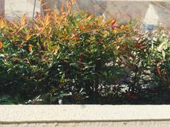 보이지 않아도 알 수 있어요