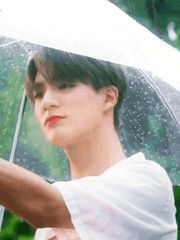 일장춘몽 一場春夢