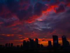 [다음 생엔 너로 태어나 나를 사랑해야지] 바람이 멈췄을 때 향기는 어디로 가는가 - 리코타