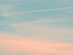 대진준기 초겨울 上