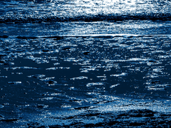 𝑺𝒊𝒆𝒏𝒂 𝑹. 𝑯𝒚𝒅𝒓𝒆𝒏 _𝑓𝑖𝑟𝑠𝑡 𝑔𝑟𝑎𝑑𝑒𝑟