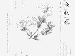 사막에는 비가 내리지 않잖아