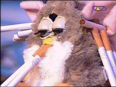 남돌 포카주식 성공하는 법