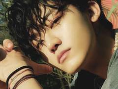 어라라 눈떠보니 역하렘 센티넬 나페스에