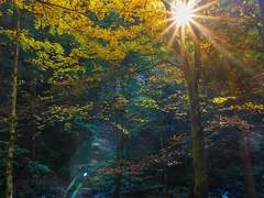 때때로 생각해본적 있었다.