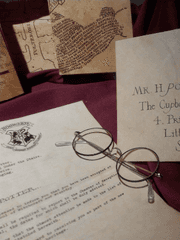 마법과 부엉이와 로맨스 영화