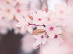 제 2악장, 봄의 시작.