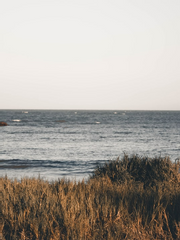 트위터 썰 백업