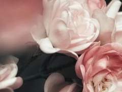 내가 사는 세상이 사랑으로 가득하다면,