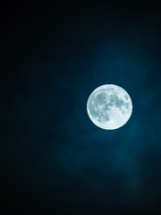 鬼畜夜話(귀축야화)