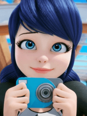 검은 고양이와 무당벌레가 그려진 작은 쪽지