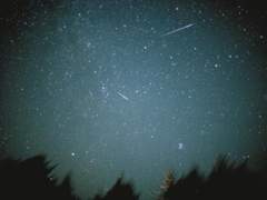 #여명커 프로필