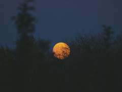 전투, 이능력 묘사 샘플