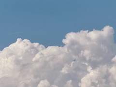 후광은 빛나지만 성스럽지 아니하오