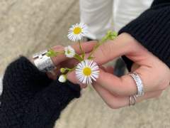 익숙한 것에 대하여 - 下