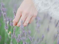 단편 소설 / 너를 위한 날