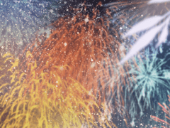 Hoya kerrii - Kagetora