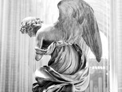 생명에게 순종하는 자