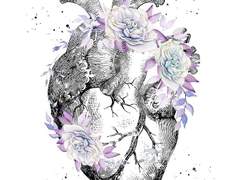 달나라- Coleus/하나하키 합작