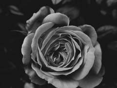 가장 빛났던 순간이자 절망.