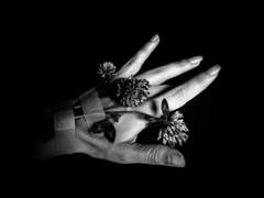 그는 늘 사랑을 읊조리고 있지만