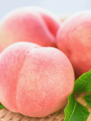 오늘은 복숭아 먹는날