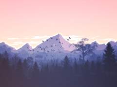 먹이를 찾아 산기슭을 어슬렁거리는 하이에나를 본 적 있는가•••