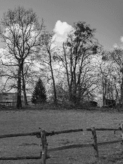 [커뮤] New Village