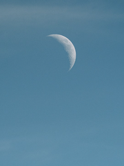 선생님, 선생님!