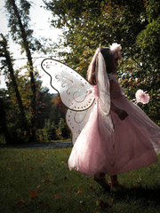 숲에서 온 나는 황녀입니다