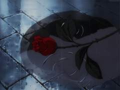 보피에게 갈채를