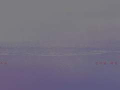 레디메이드 표지 이용 안내