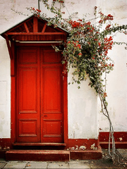 에제키엘 로그 모음