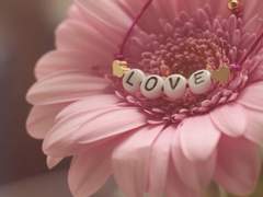 시작도 못한 감정에게