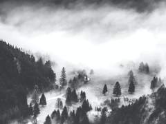 내 이름의 무덤