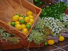 돌아오지 못하는 그를 기리며