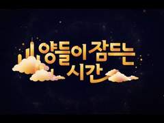 양잠시 굿즈 개인 제작