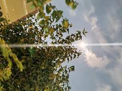 우리 아이의 것