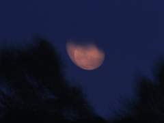 영웅은 어쩌다 평범한 인간이 되었나