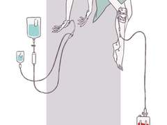 내가 나를 죽이지 않으려면 1