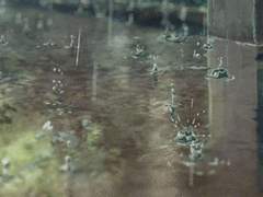 [익송 조각글] 우산